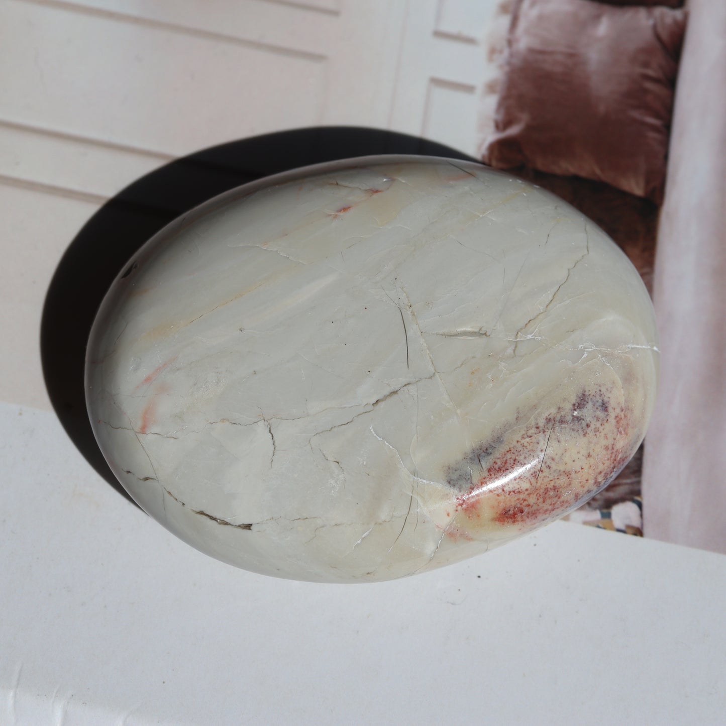 Hyacinth Jasper Palm 🌴🌱