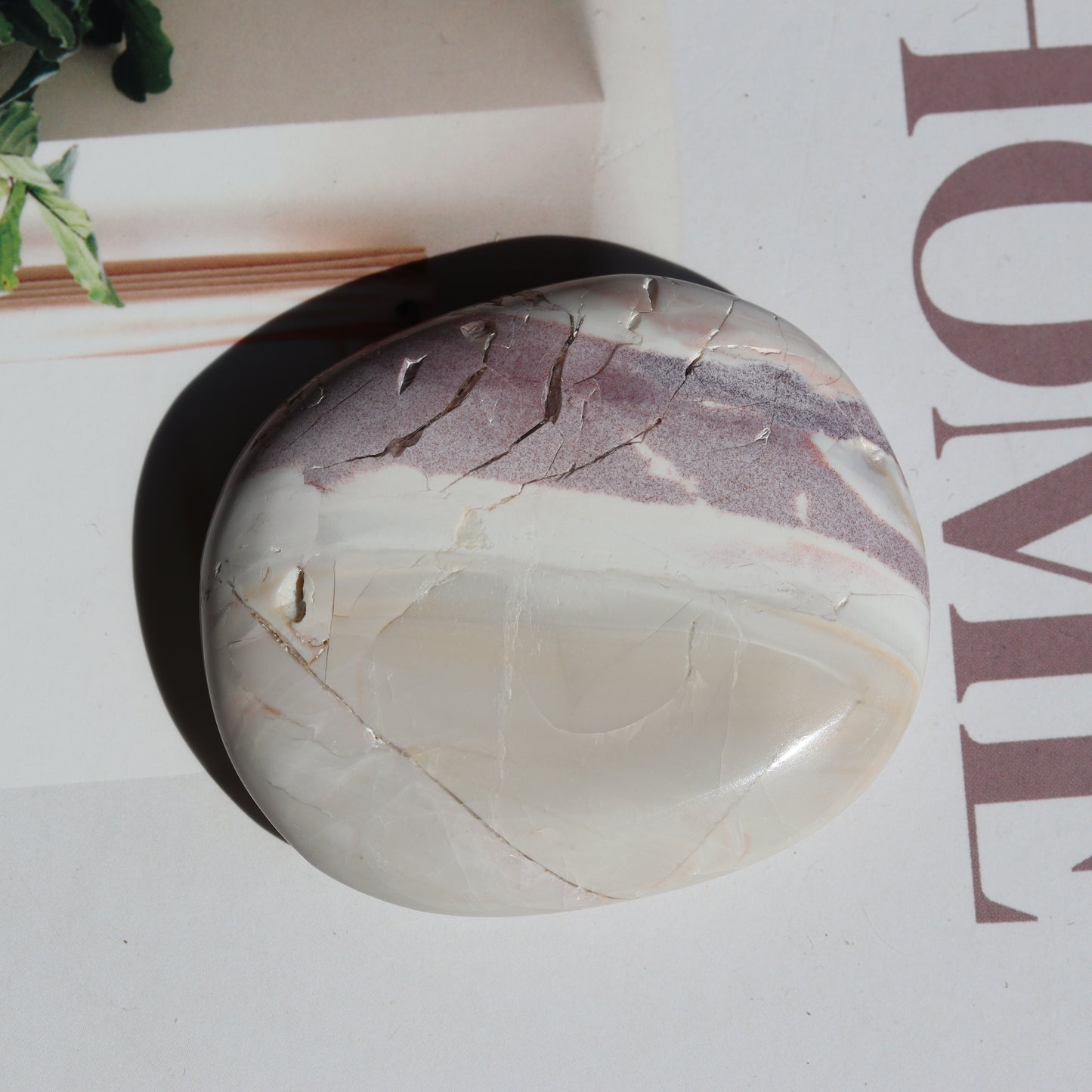 Hyacinth Jasper Flat Palm 🌴🌴