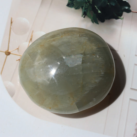 Green Moonstone Palm 🌴🌱