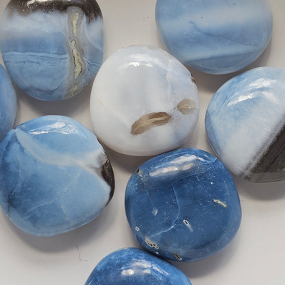 Blue Opal Mini Palm